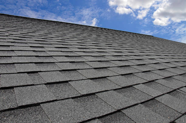 Best Roof Waterproofing  in Harrison, MI